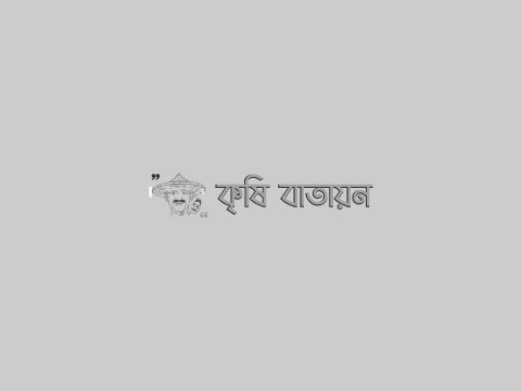 বিলুপ্ত ছিটমহলে...