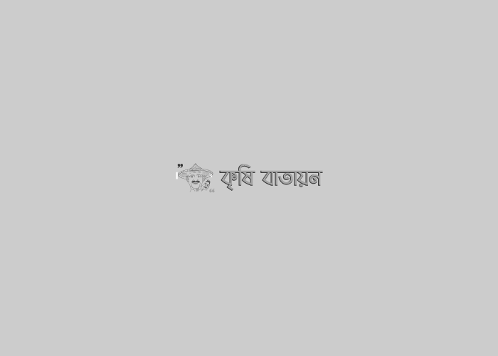 চাষী পর্যায়ে ধানের বীজ সংরক্ষণের কলা-কৌশল